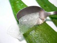 Gel Aloe Vera au miel. Le plus apprécié !